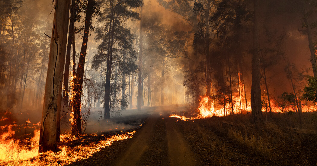 Climate Change Could Increase Risk of Wildfires 50% by Century's End
