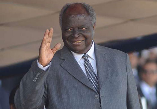 Pumbavu, Mavi ya kuku, Hapanaa, What the hell? Kibaki’s controversial words – Nairobi News