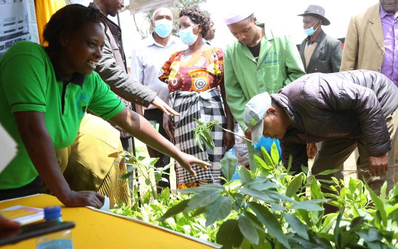 State strikes deal with China and India for avocado market