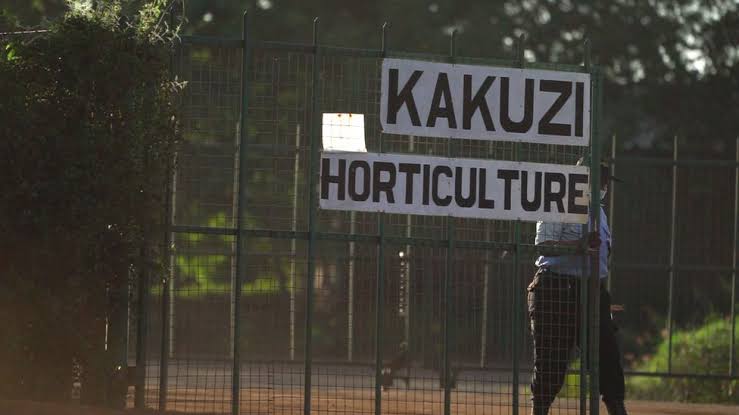 End of the Road for British Camellia’s Kakuzi PLC?