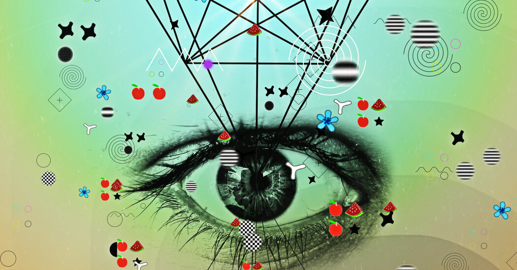 Is Geometry a Language That Only Humans Know?