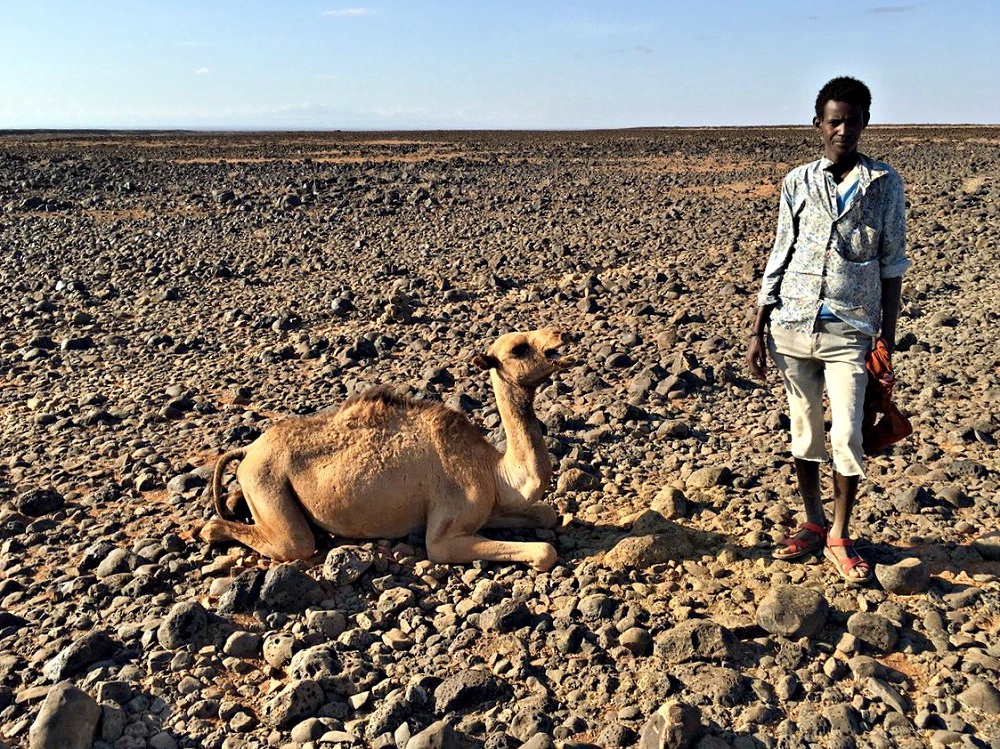 16 Million In Kenya, Somalia And Ethiopia Facing Acute Food Shortage