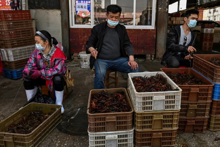 China aims to phase out sale of live poultry at food markets » Capital News
