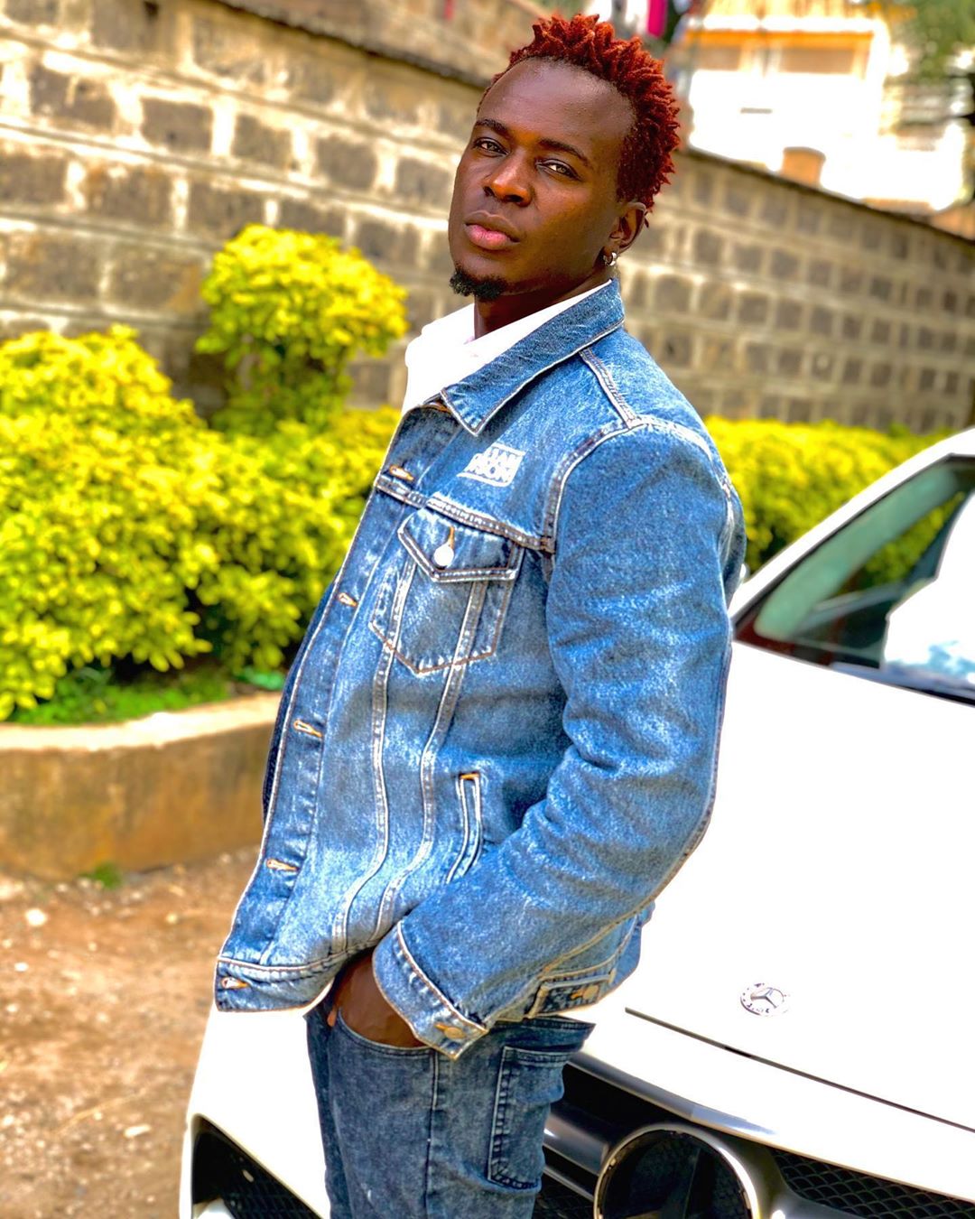 willy paul