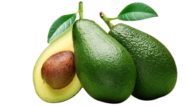 Nandi farmers signs avocado export deal