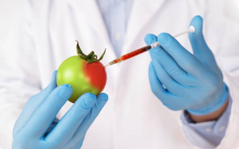 Could gene editing be the solution to food shortage?