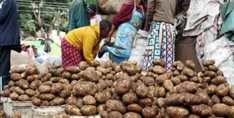 Twiga Foods named one of world's maximum influential companies