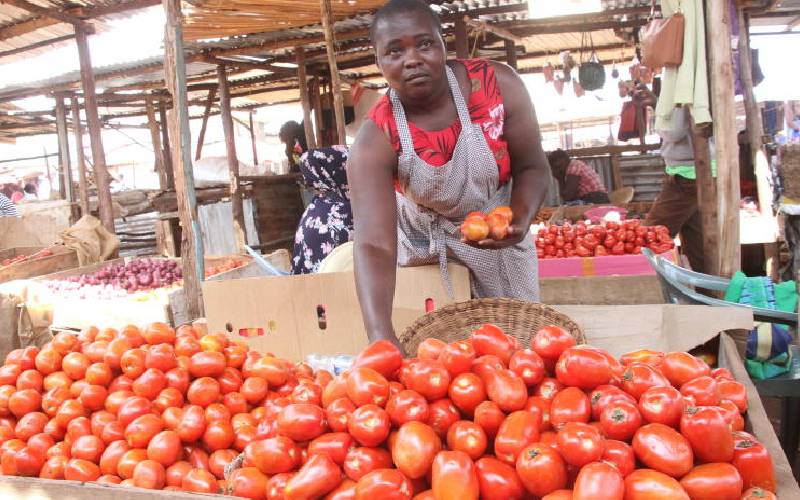 Tips for growing juicy tomato that melt hearts