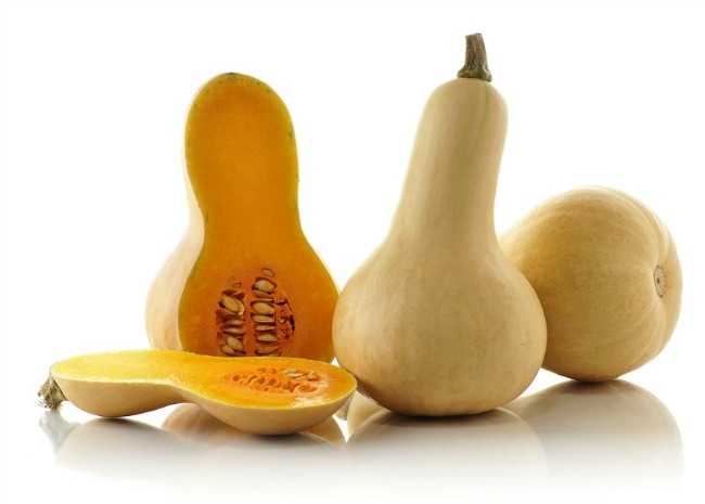A farmer's lucrative earnings from butternut farming