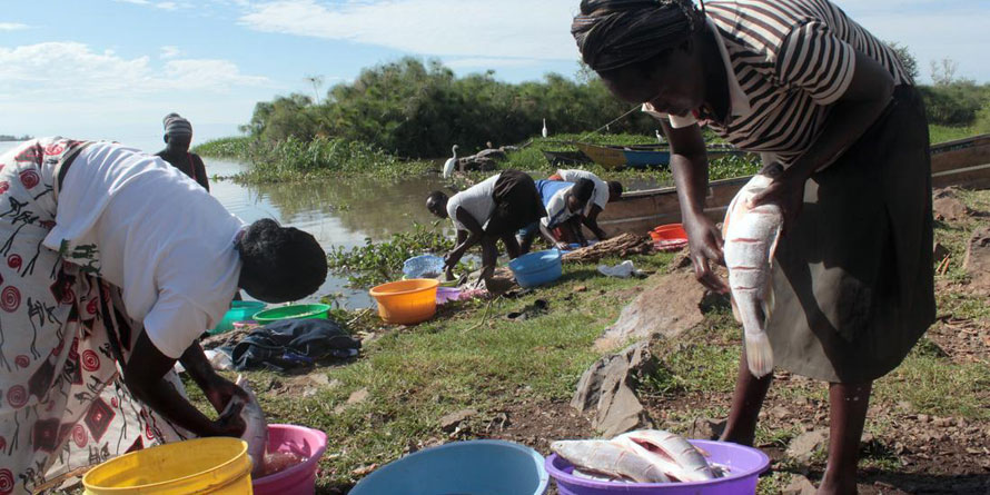 Fishing experts push for new tools to increase production