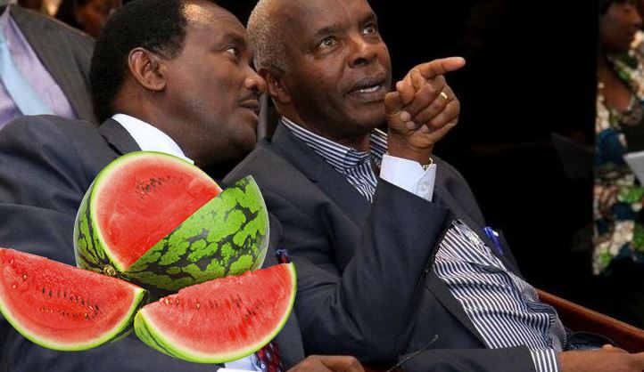 Kivutha Kibwana Mocks Him as Watermelon, Outperformed by Ruto in Ukambani By-election