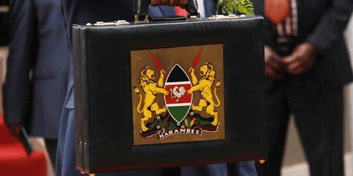 Most Dramatic, Unique Budget Reading Sessions in Kenya