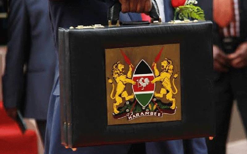 Kenya’s budget briefcase revisited - The Standard