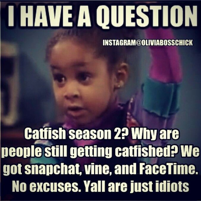 Image result for catfish quotes