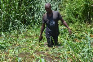 County investment in canals pays off – Kenya News Agency