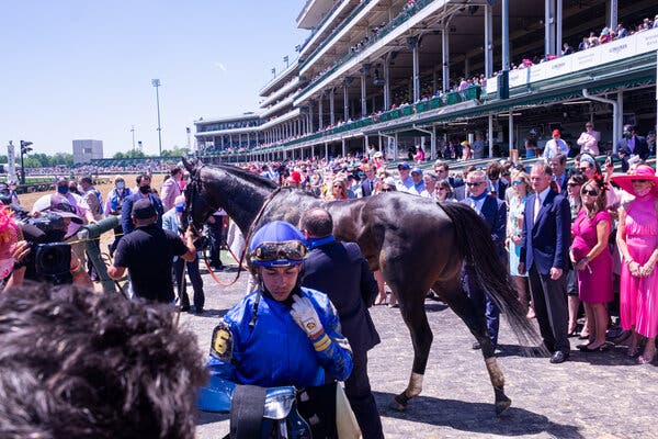 The use of Lasix in thoroughbreds has been common in North America since the mid-1970s, but it is widely prohibited in racing throughout the world.
