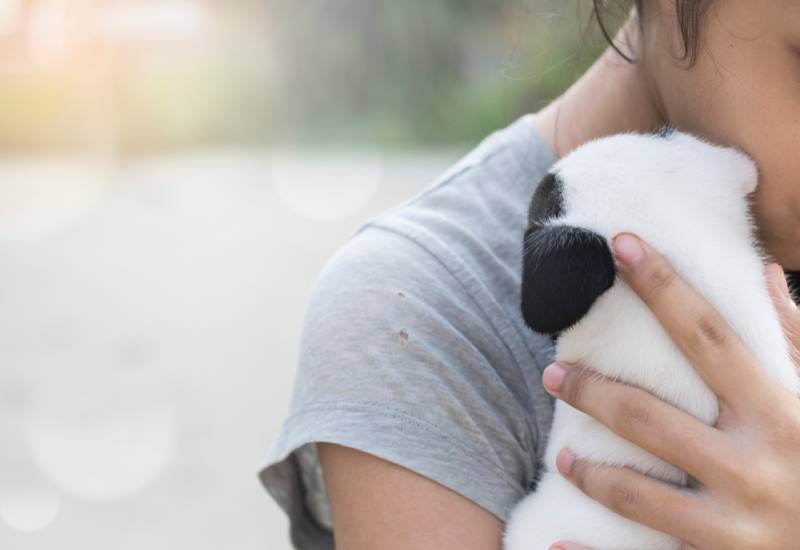 Five ways to cope with the loss of a pet Eve woman