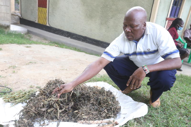'Kenya won't have herbal medicines in a few years'