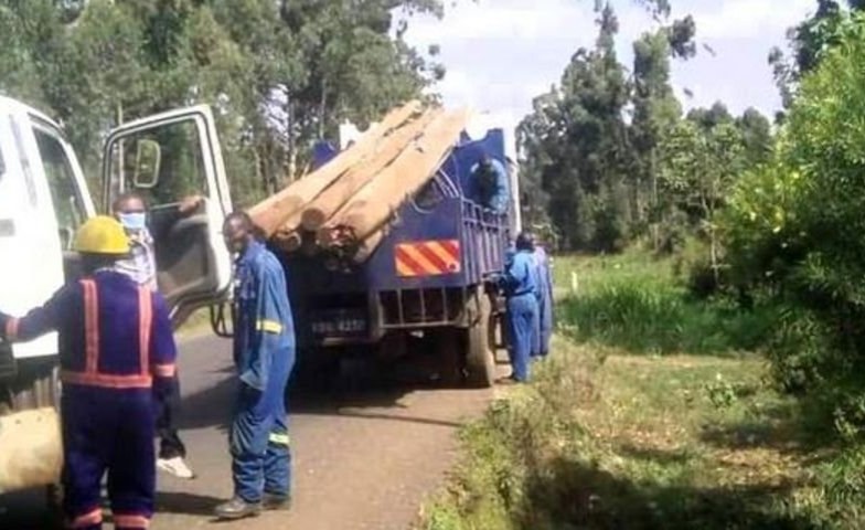 Kenya: MPs Push to Have Kenya Power Board Dissolved