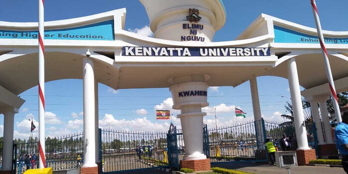 Kenyatta University Unveils One of a Kind School Program
