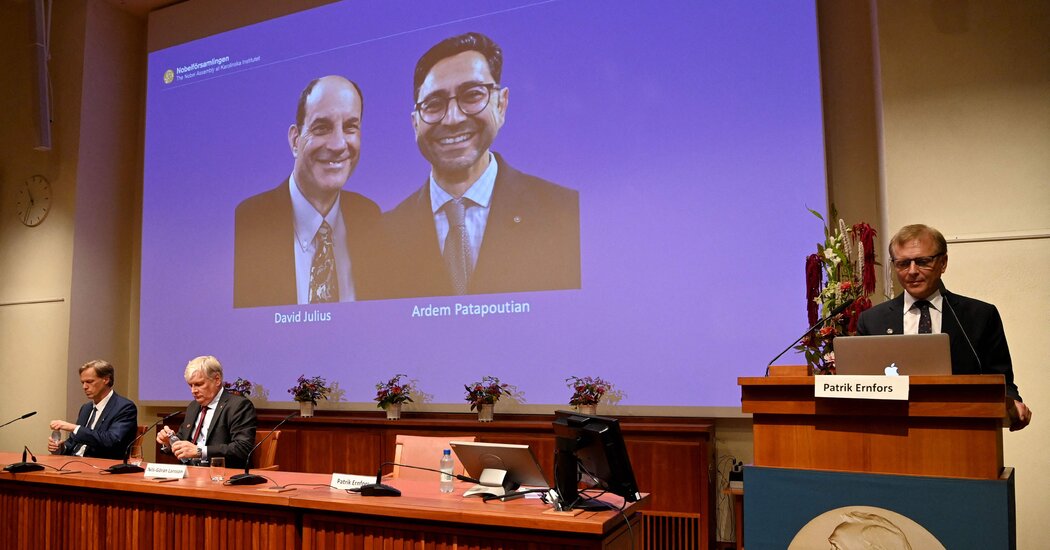 Nobel Prize Awarded to Scientists for Research About Temperature and Touch
