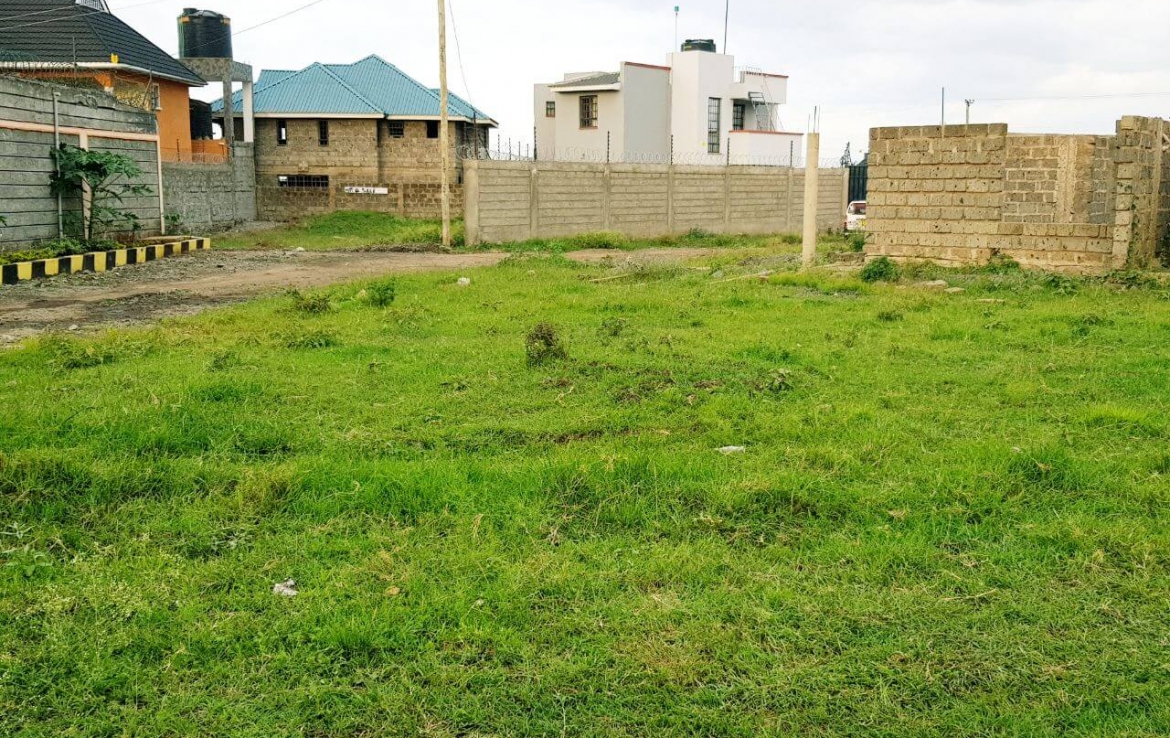 Three things you must consider when buying a plot