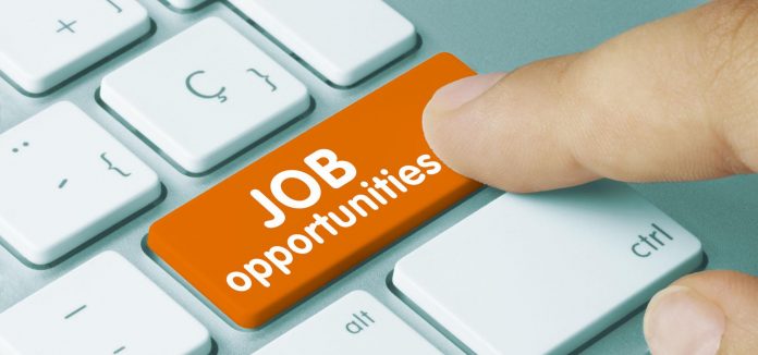 Job opportunities The openings feature the Ministry of Public Service, Gender, Senior Citizens Affairs and Special Programmes and the Ministry of Foreign Affairs.