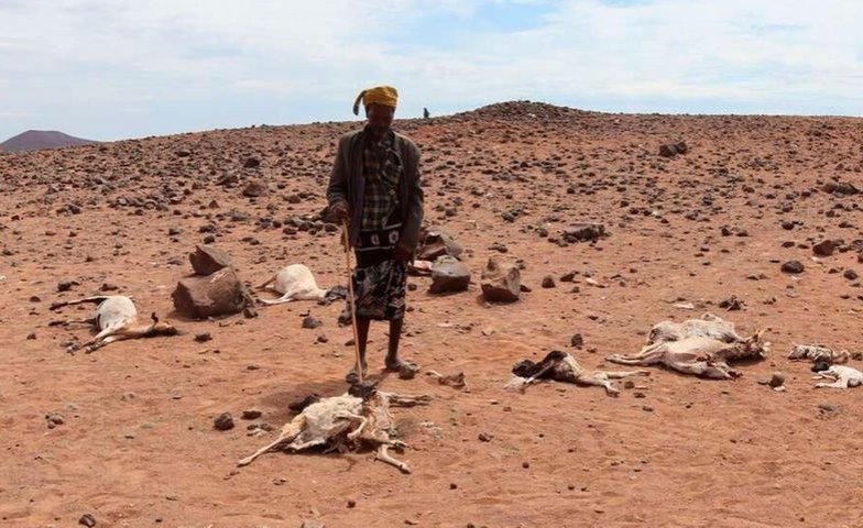 Kenya: Families in Drought-Stricken Areas to Get Sh3,000 Monthly As Opposed to Food Aid