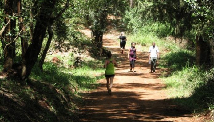 An Attempt to Grab Kenya's Forests? New Bill Stokes Anger
