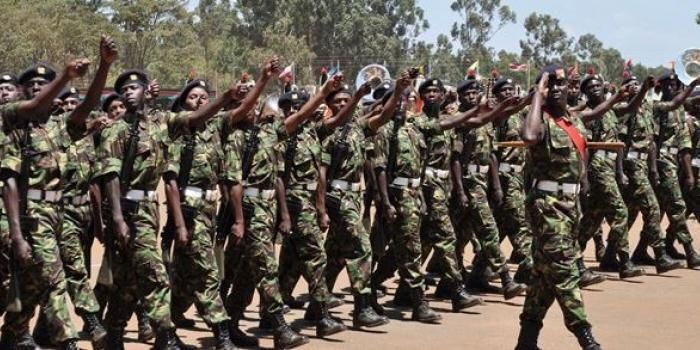 KDF Accused of Defying Court Order in Night Raid