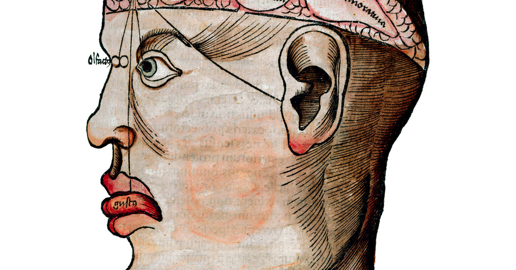 Opinion | You Might Be Depressed Now, but Don’t Underestimate Your Resilience