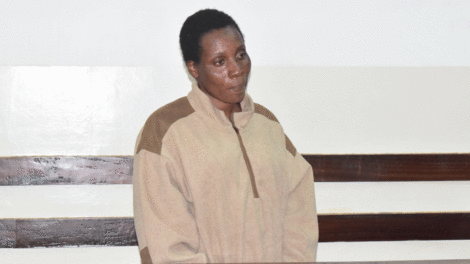 House help linked to Sh104m burglary detained by police – Nairobi News