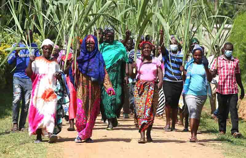 Cane farmers challenge plan to lease of Mumias Sugar Company