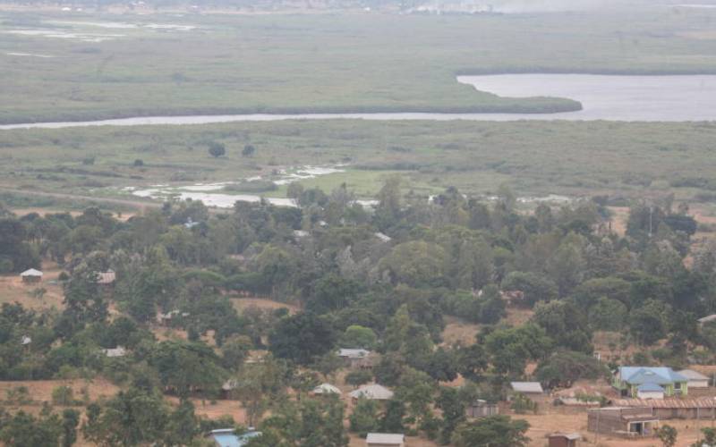 Fresh row over move to allocate Yala Swamp land to new investor