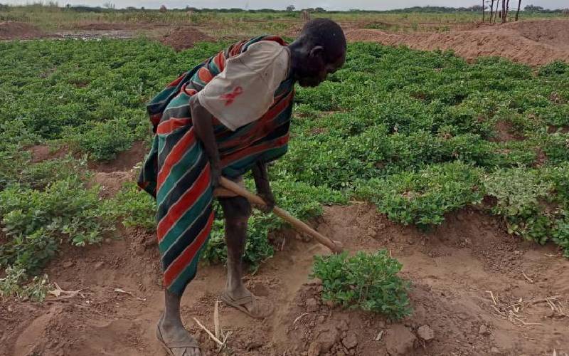 Farmers test insurance to ward off climate-driven hunger