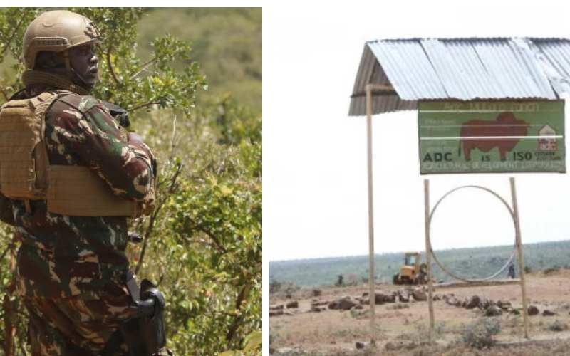 Locals want livestock allowed to graze in ADC farm linked to Ruto