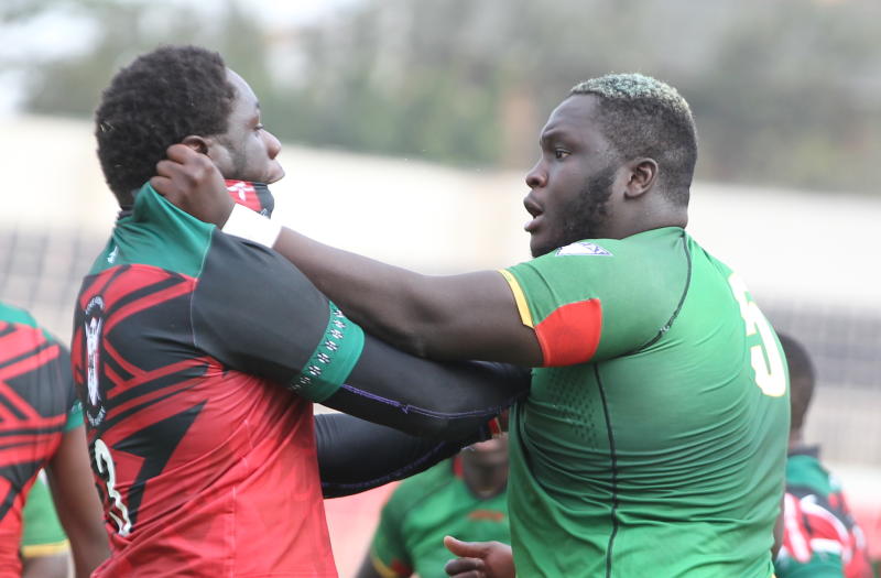 Battle of the big cats: Simbas and Leopards collide in Currie Cup tie