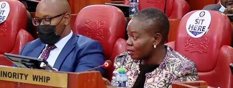 Lands CS Farida Karoney appears before the Devolution Committee in Parliament on Thursday, March 3, 2022