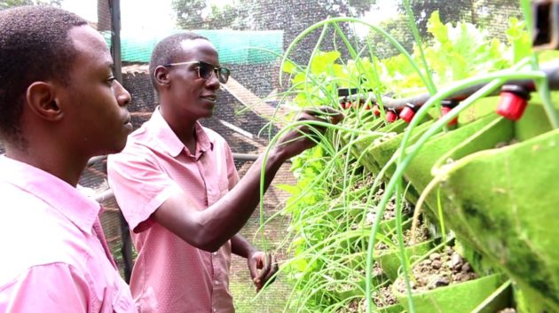 Youths promote vertical gardening in Urban Centers to enhance food security » Capital News