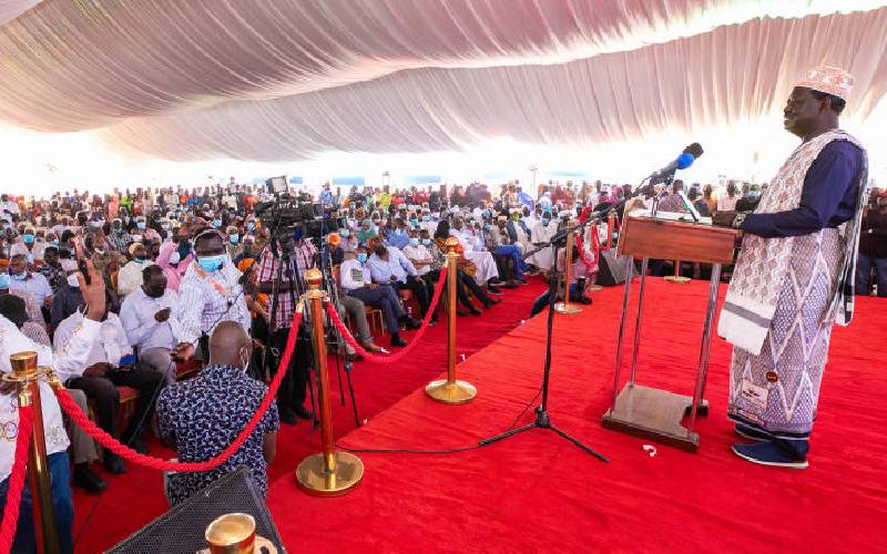 Boost for Raila as North Eastern backs 2022 bid
