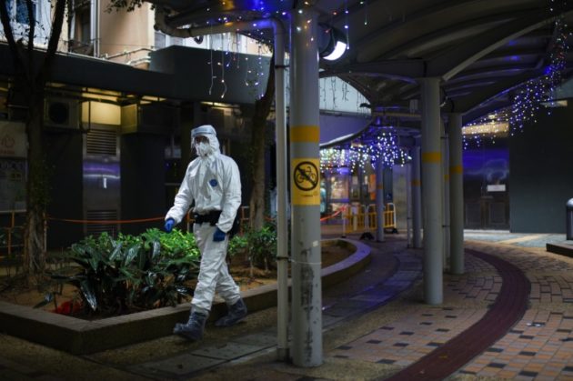 Single hamster handed over for Hong Kong Covid cull tests positive » Capital News