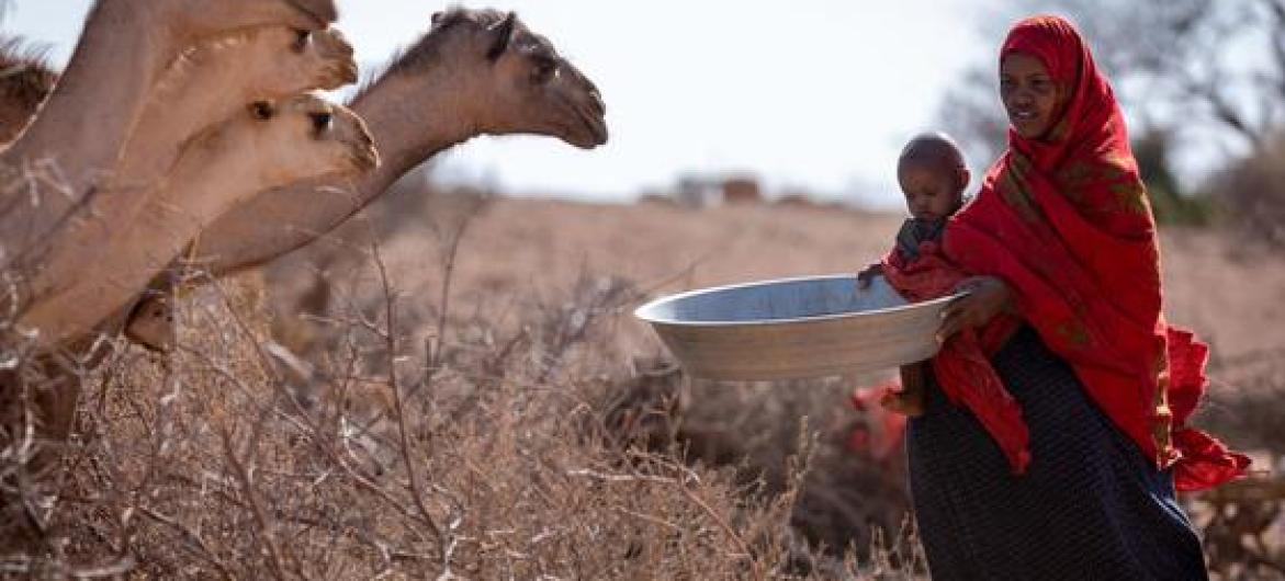Guterres asks for immediate cessation of hostilities in Ethiopia