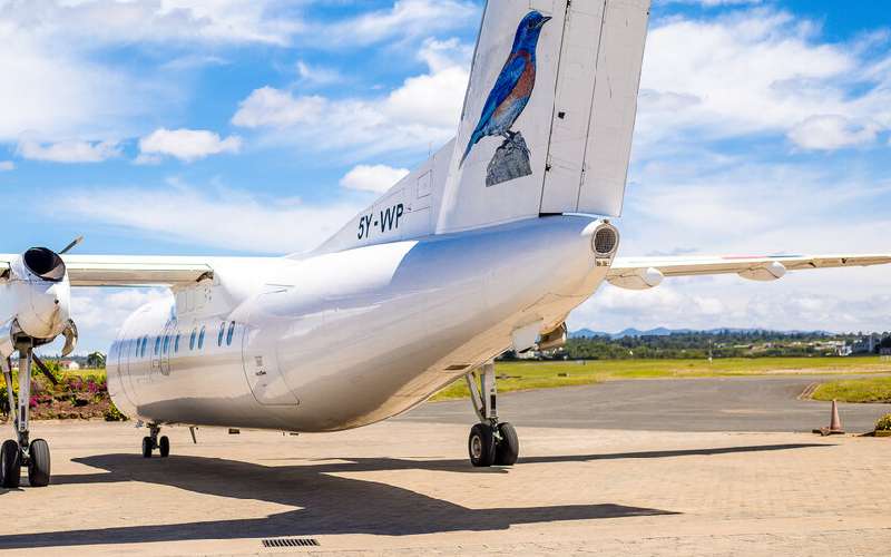 Airline shareholder loses case against three co-directors