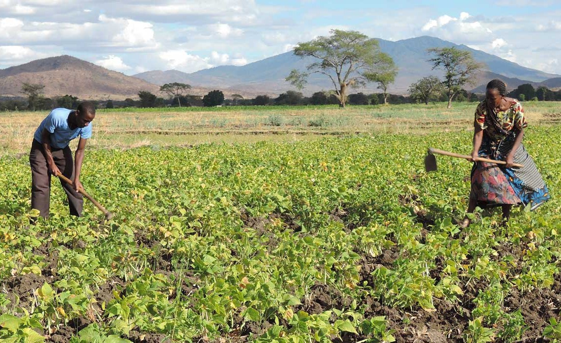Kenya: How Eastern Africa Can Speed Up Its Pursuit of Food Security