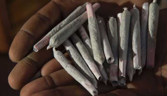 Marijuana Exhibit Disappears From Police Station, Cops Arrested