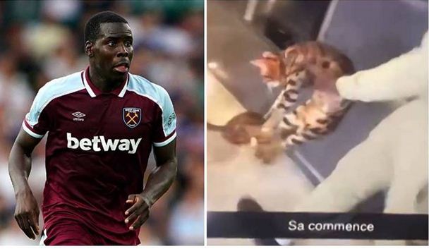 Moyes defends decision to play Zouma after cat kicking video : The standard Sports