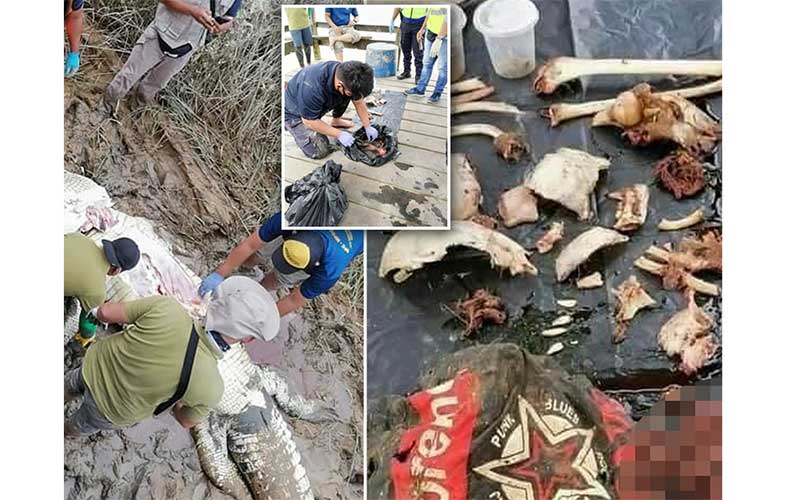 Body of missing boy found inside crocodile after he was grabbed from river bank