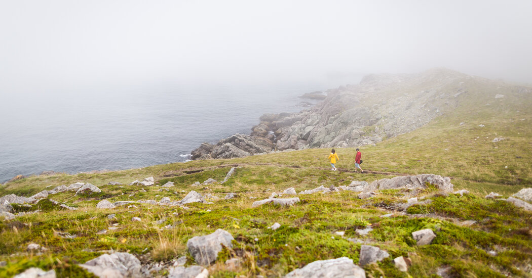 Discovering the Irish Loop in Newfoundland, Canada