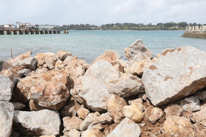 Likoni floating bridge on course: The Standard