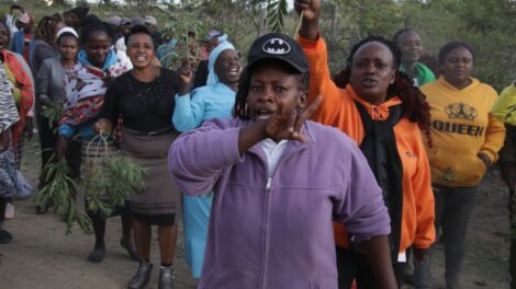 UDA primaries were ‘peaceful and smooth’ – Nairobi News